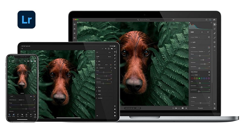 برنامه تغییر رنگ عکس Adobe Lightroom Photo Editor